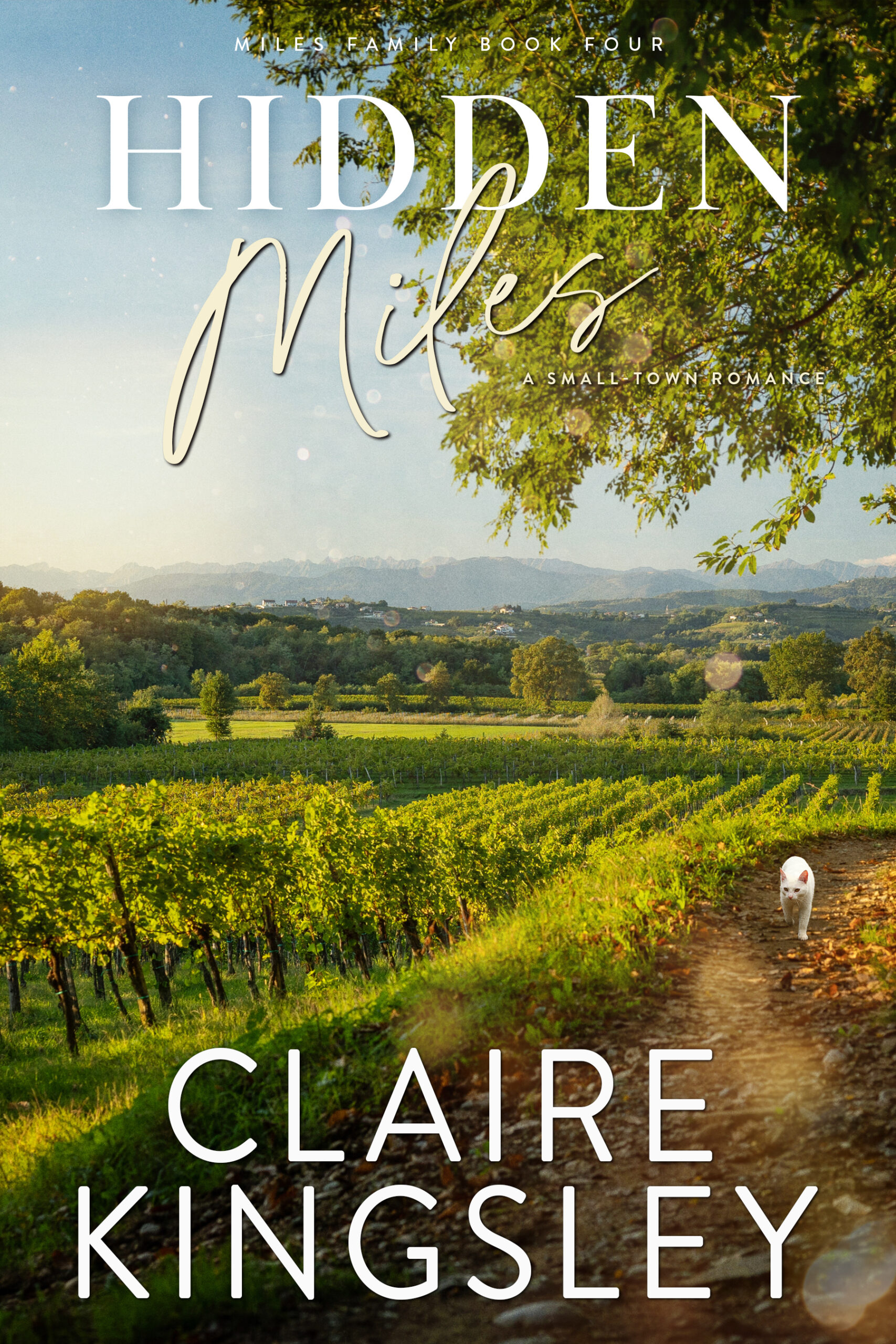 The cover of Hidden Miles, a small-town romance by Claire Kingsley