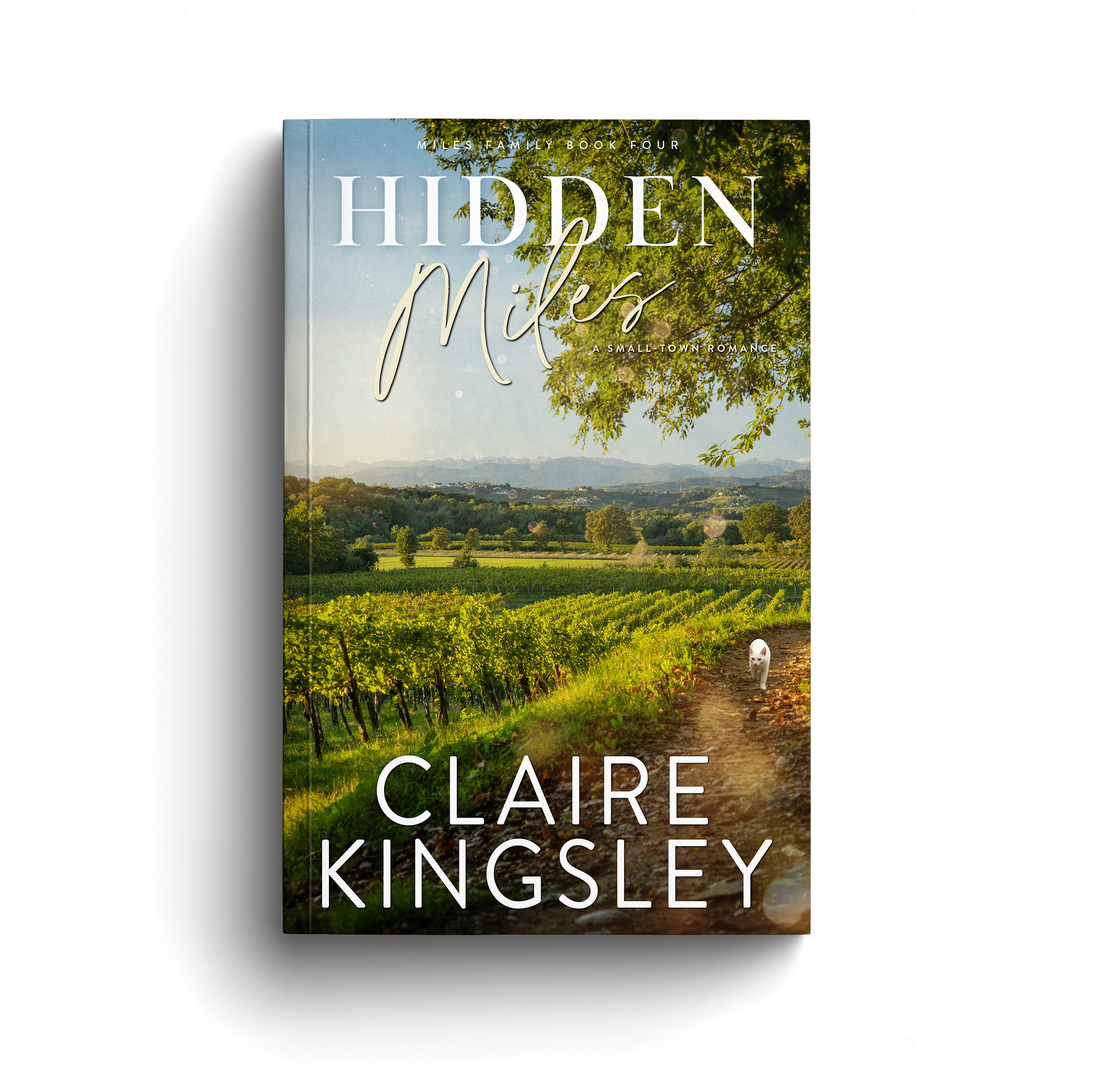 The cover of Hidden Miles, a small-town romance by Claire Kingsley